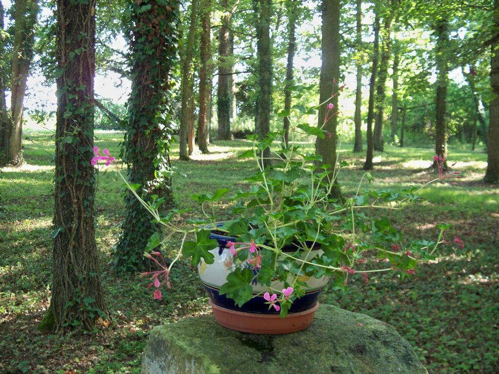 Bed and Breakfast Le Pre Karvain Couddes Екстер'єр фото